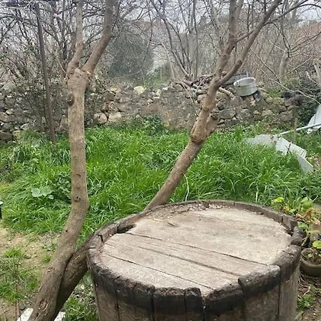 4+1 Bahceli 2 Katli Mustakil Ev *
